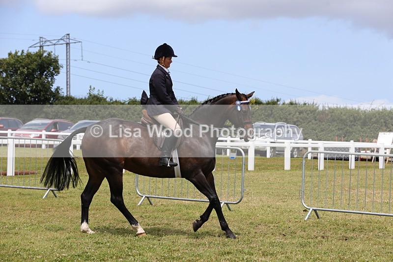 1X9A4380 - Class 34: Veteran Ridden