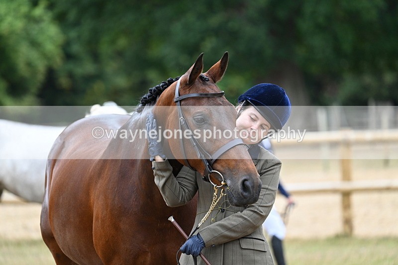 WJ7_9229 - Class 4a Prettiest Mare 14.2hh and over