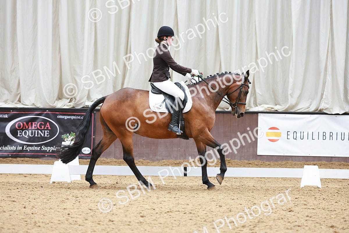SBM_007577 - Class 4-5-6 - Prel 3-Novice 2-Ele 2