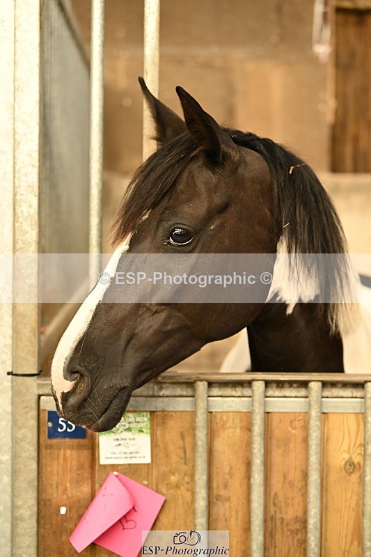 240809A-084800-00014 - Stable Shots