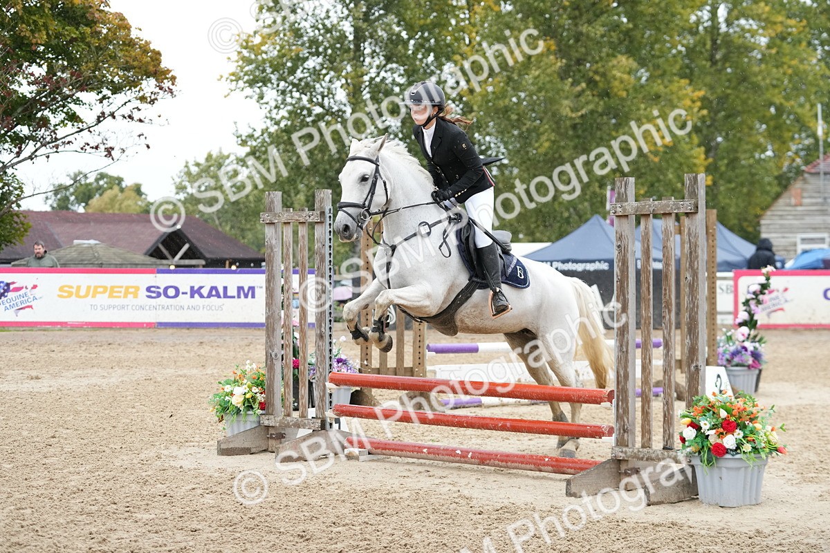 SBM_43208 - J7 - Junior Pony 60cm Championship