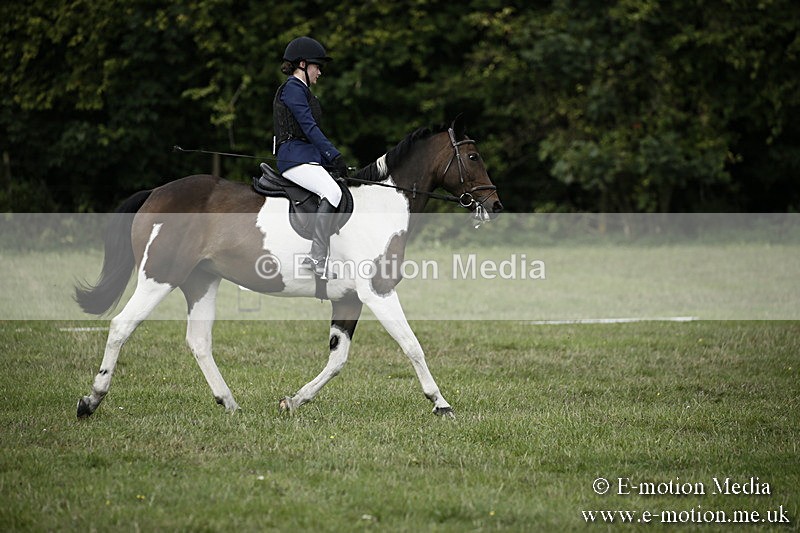 BVR090918 107 - BVRC Dressage and Show Jumping 09/09/18