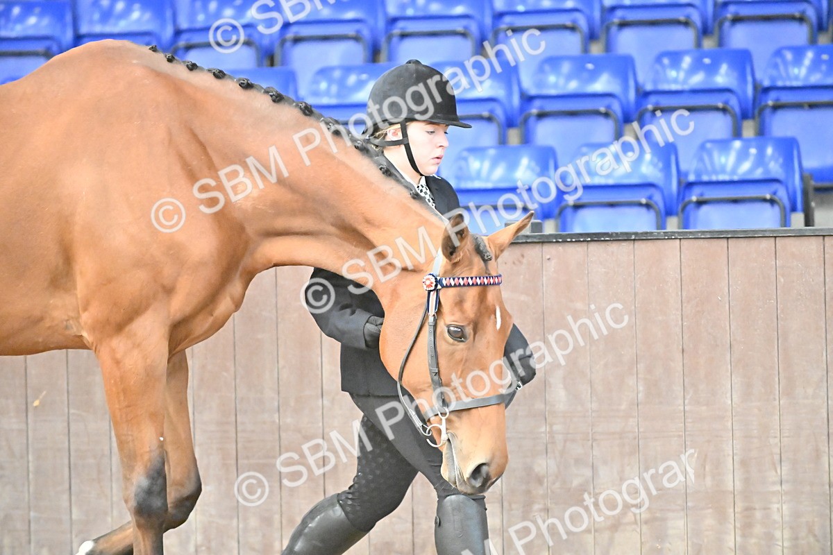 SBM_000114 - Class 6 - BSHA In Hand Racehorse to Show Horse