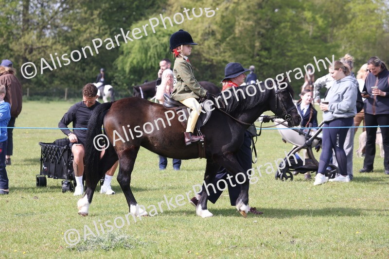 20260426-0582 - Class 31 - Leading Rein