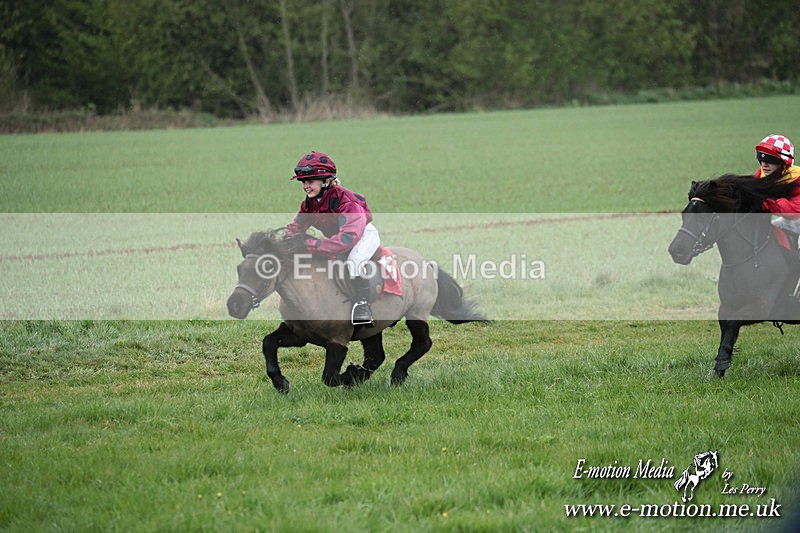 SHETPR 210425 115 - Shetland Ponies Paxford Races 21/04/25