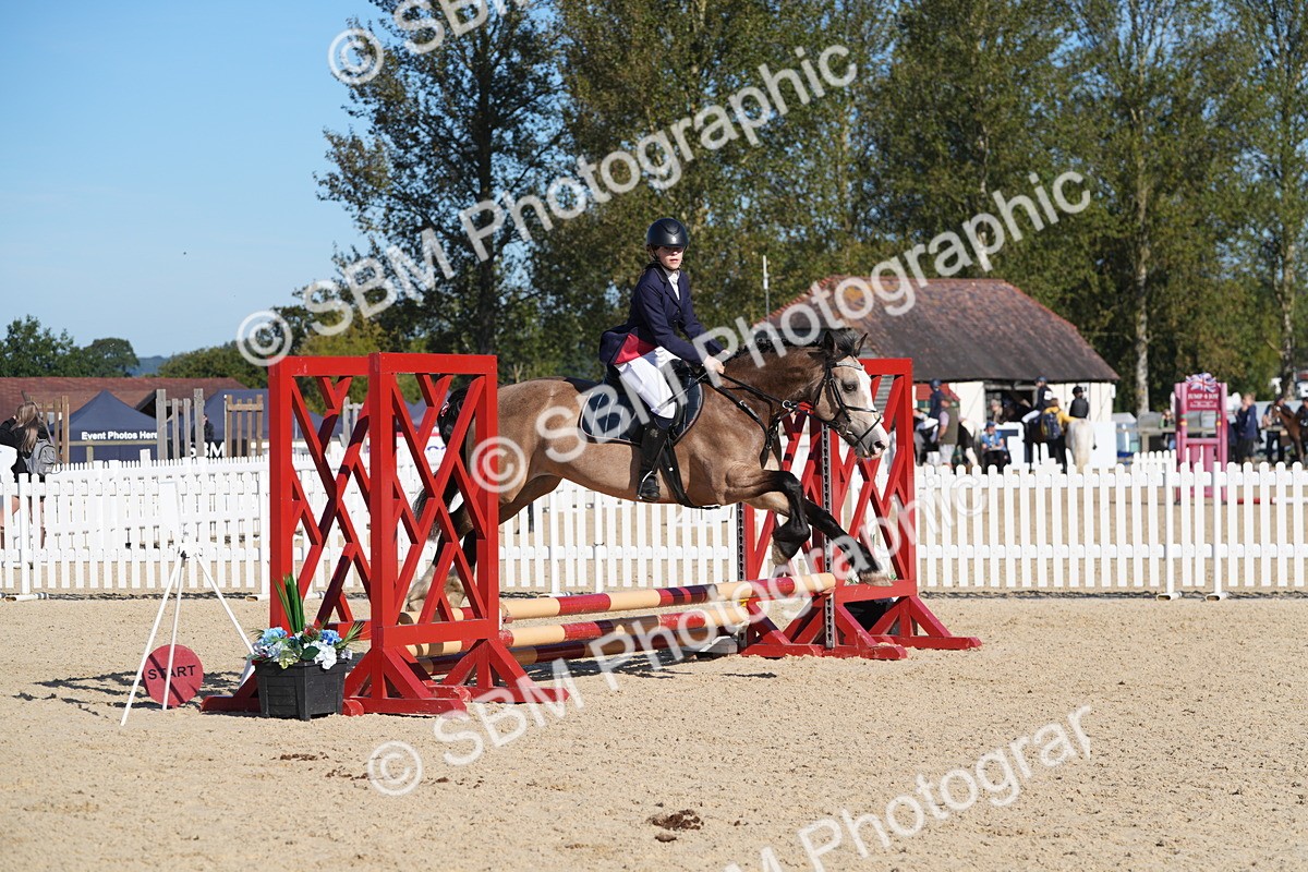 SBM_36205 - J 20 - Junior Horse 50cm Championship