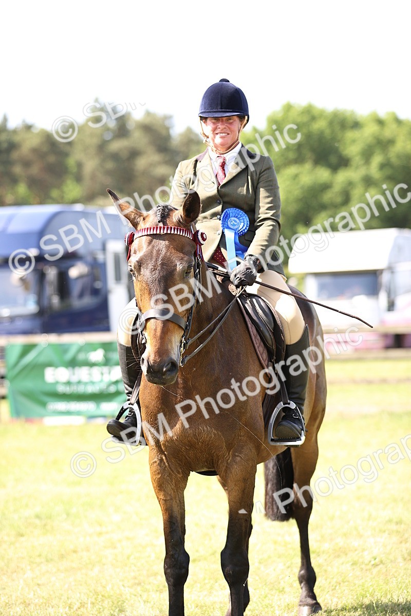SBM_13045 - Class 75-76 LIHS BSHA Rising Star Hack Riding Horse