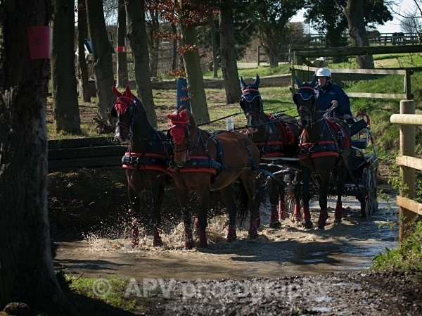_DSC0177 - Ashfields Carriage & Polo Club