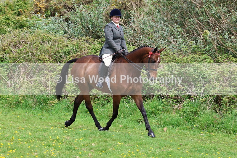 3E7A1700 - Class 9: Riding Club Horse/Pony