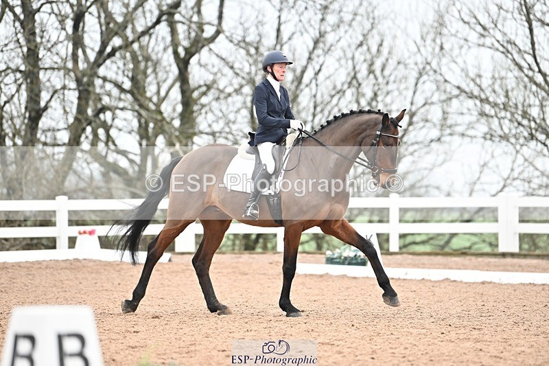 250216-121824-05259 - 209-Anthea.Parkyn-Blue.Hors.Zagato