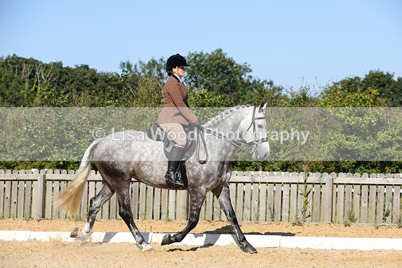 1X9A7723 - Class 9: Open Ridden Hunter