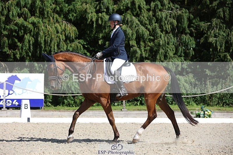 230811-154237-02512 - Cls 1 Prelim Bronze 15.00 to End