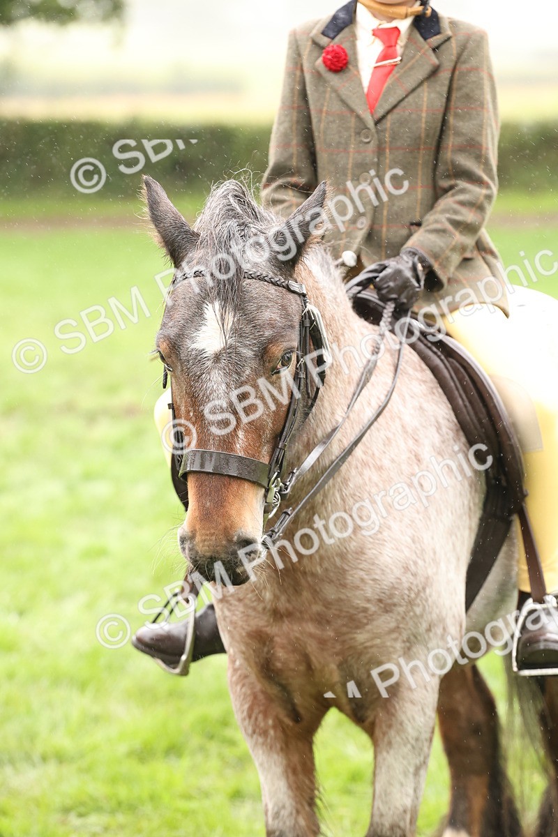 SBM_72779 - S70 - Traditional Cob Ridden