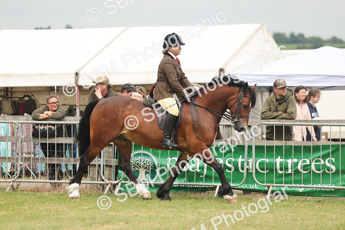 SBM_07167 - Class 76-77 - Ridden M&M Welsh Ponies