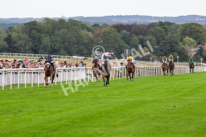 300826-Race 7-Marbuzet-1916 - Race 7 5.05pm Napoleons Casino And Restaurant Hull Apprentice Handicap