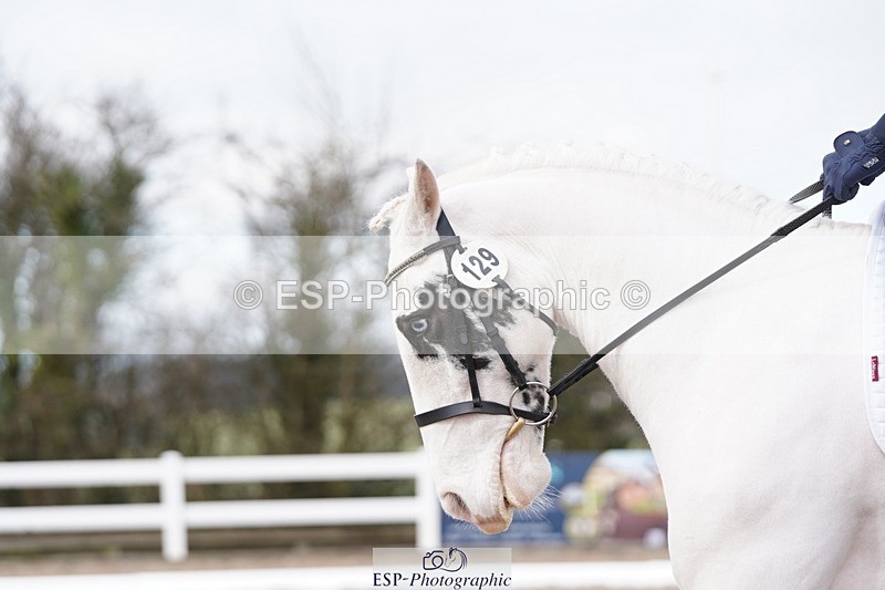 250322-104012-00161 - DR Novice 1 Test