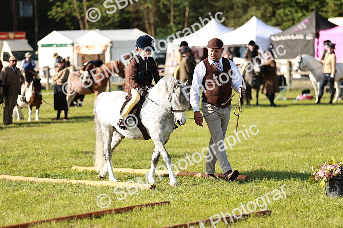 SBM_11130 - Class 106-107 - BSPS LIHS Working Sports Pony