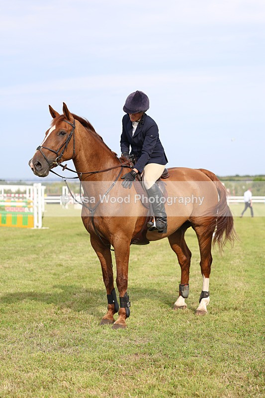 3E7A0879 - Class C: Showjumping Senior Foxhunter