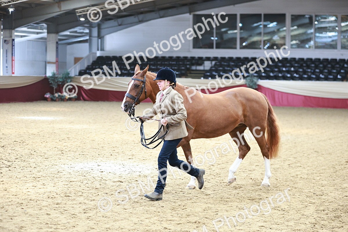 SBM_04796 - Class 7R - Regional IH Diamond