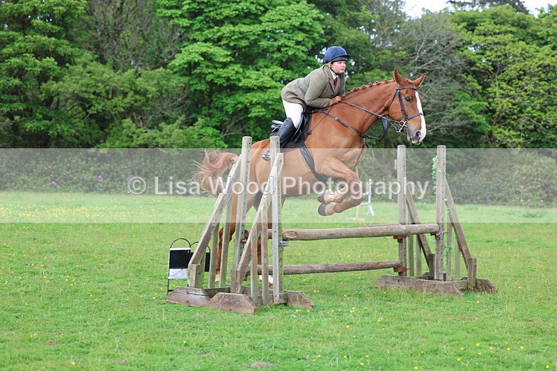 3E7A2525 - Classes 30 and 31: 80cm Working Hunter