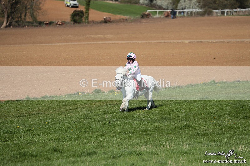 Shet 060426 141 - Shetland Pony Racing Paxford Races Easter Mon 06/04/26