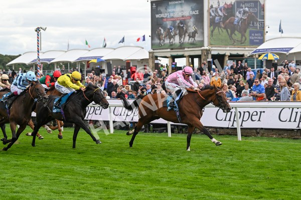 210825-Race 3-Bullet Point-4239 - Race 3 3.00pm Clipper Handicap