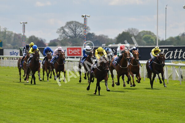 yr12052021r1-33 - Race 1 1.40pm Sky Bet Race to the Ebor Jorvik Stakes