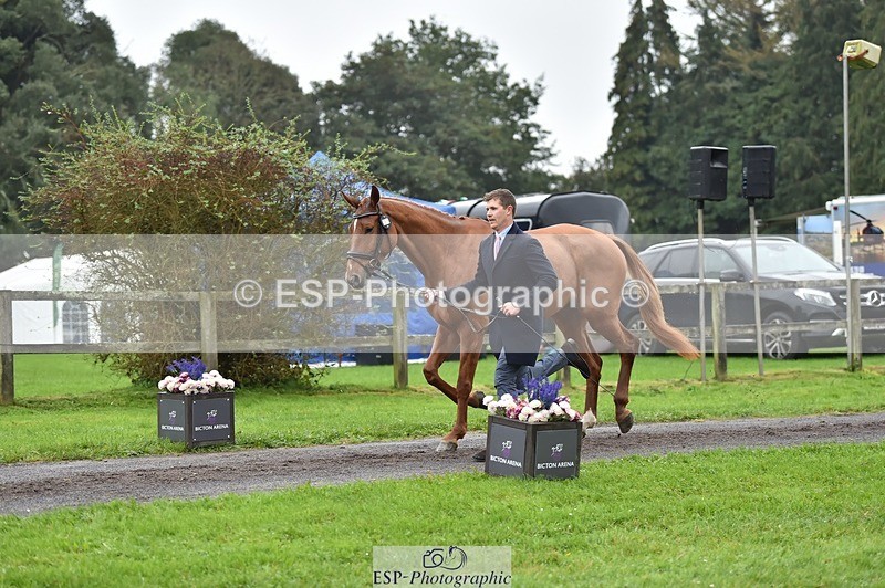 231018-121930-00205 - 069-LUSUELA-Will.Furlong-TrotUp