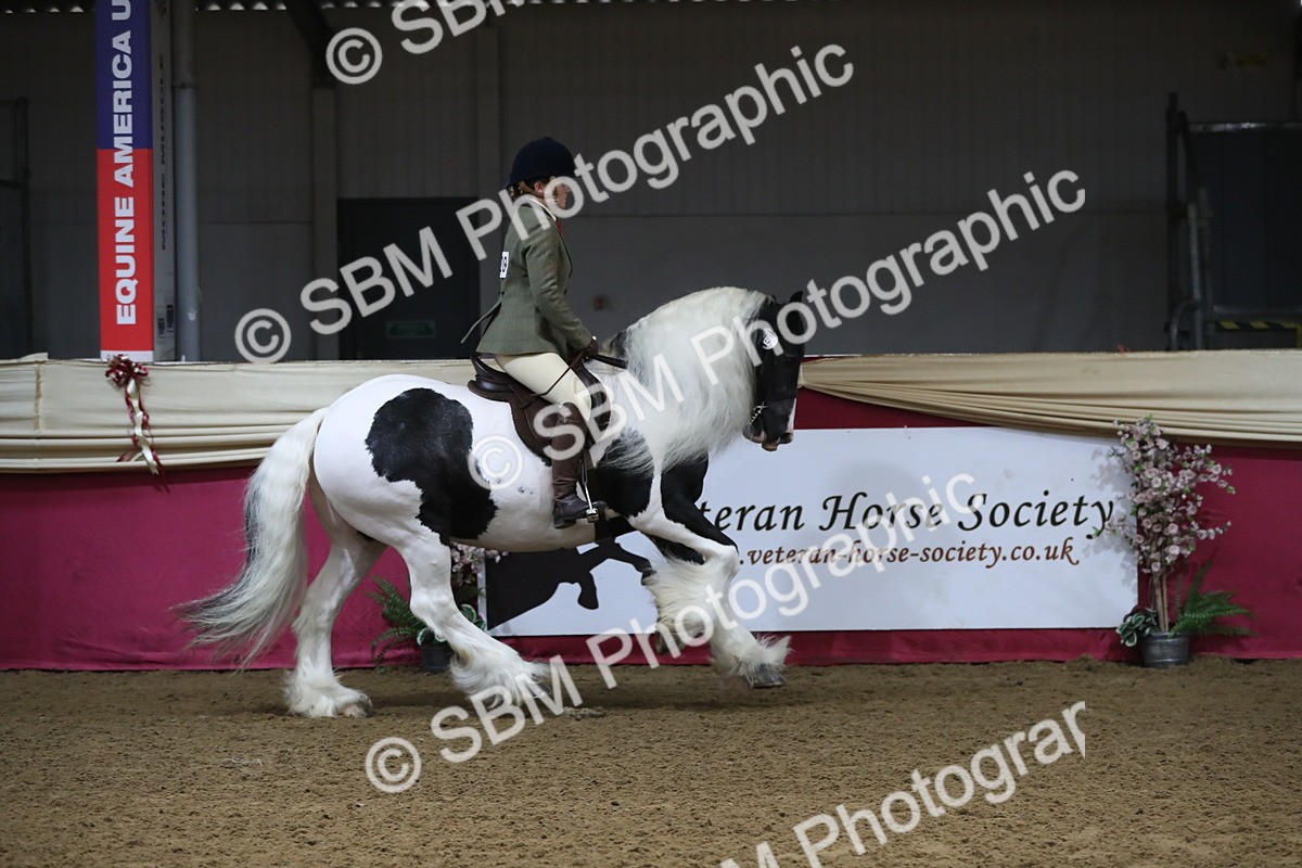 SBM_10359 - Class 102 Equitation (best rider) Adult