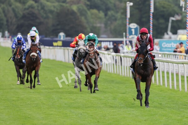 yr24092021r5-17 - Race 5 3.50pm William Hill Leading On Course Bookmaker Stakes