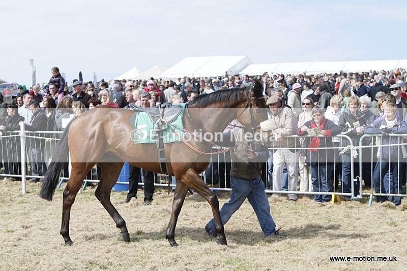  GRD 030510 18 - Guernsey Race Day 03/05/10