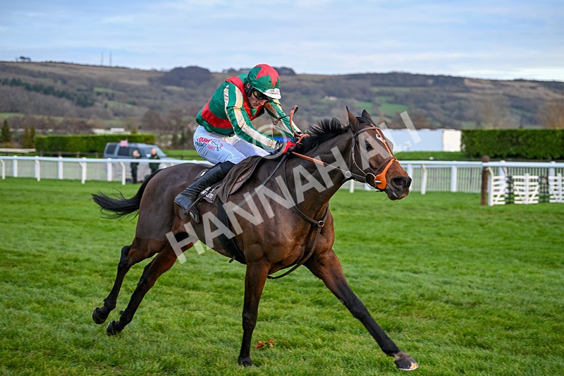 141224-Race 6-Jet Blue-2229 - Race 6
