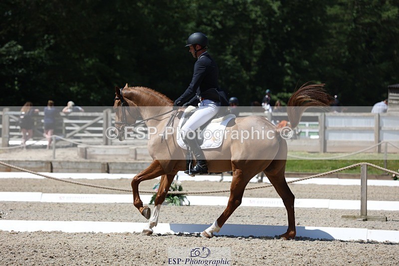 230526-115641-06131 - 157-GODSEND_DU_GIVRE-Henry_Dove-WEDTrotUp+DR