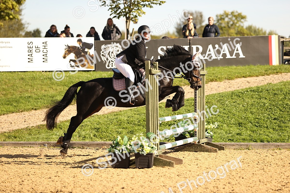 SBM_35174 - J38 - Senior 80cm Championship