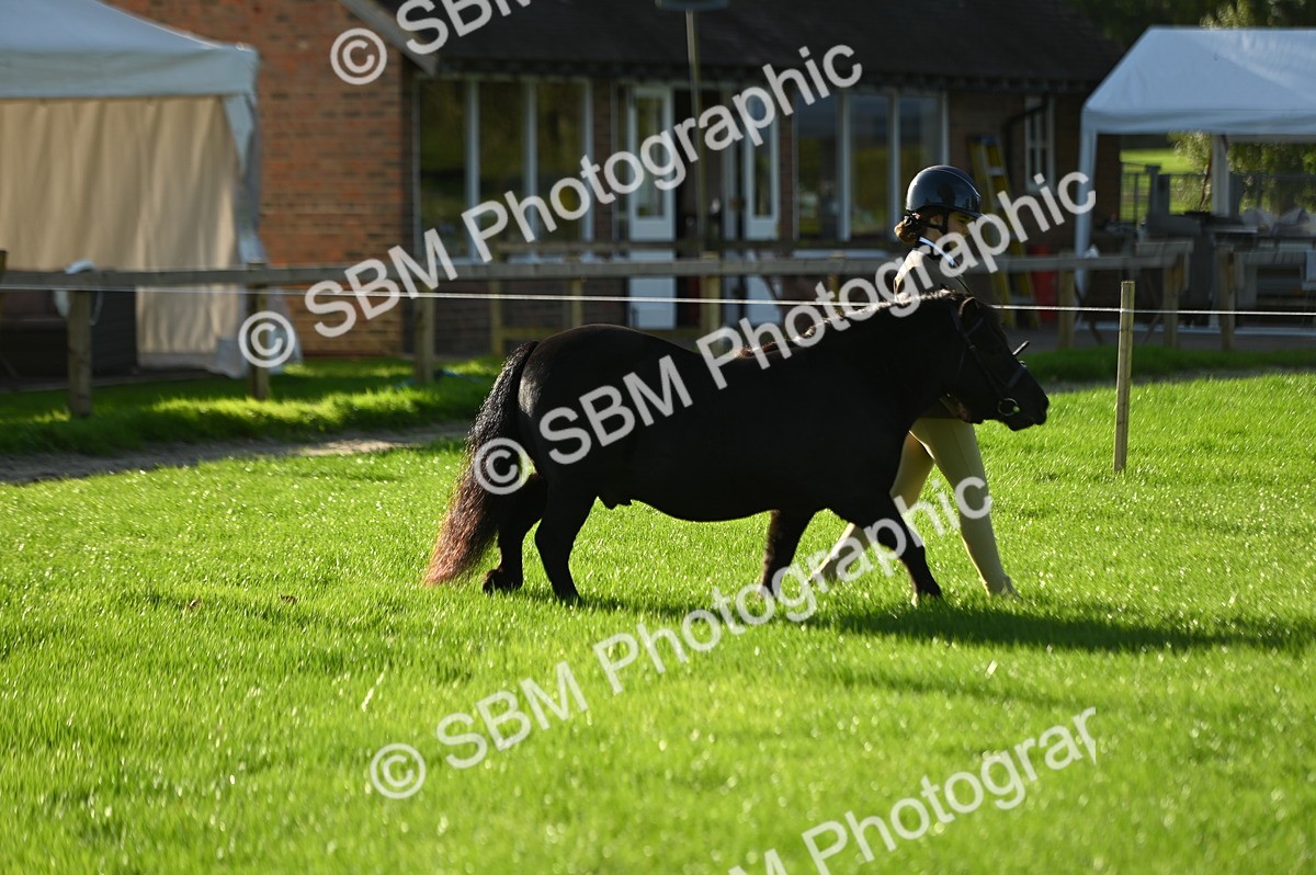 SBM_14697 - S1 - TSR in Hand Horse & Pony Showing