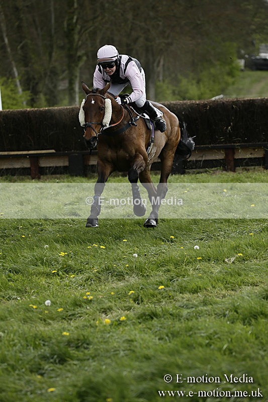 PtP 170417 176 - Old Berks Point-to-Point Lockinge 17/04/17