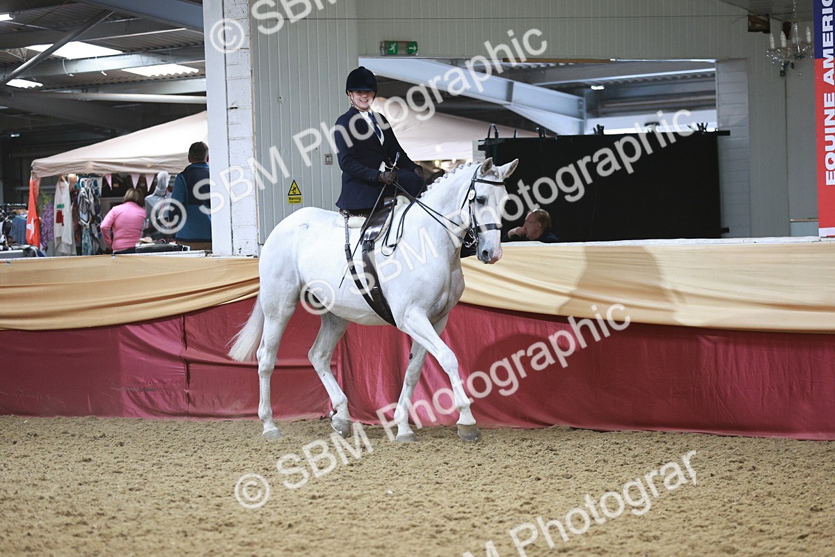 SBM_08818 - Class 12R - Regional Ridden Pre-Vet