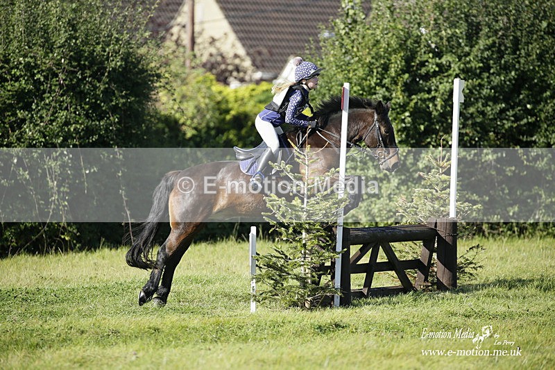  WWHT 031021 1287 - Open Novice (0.80m) 03/10/21