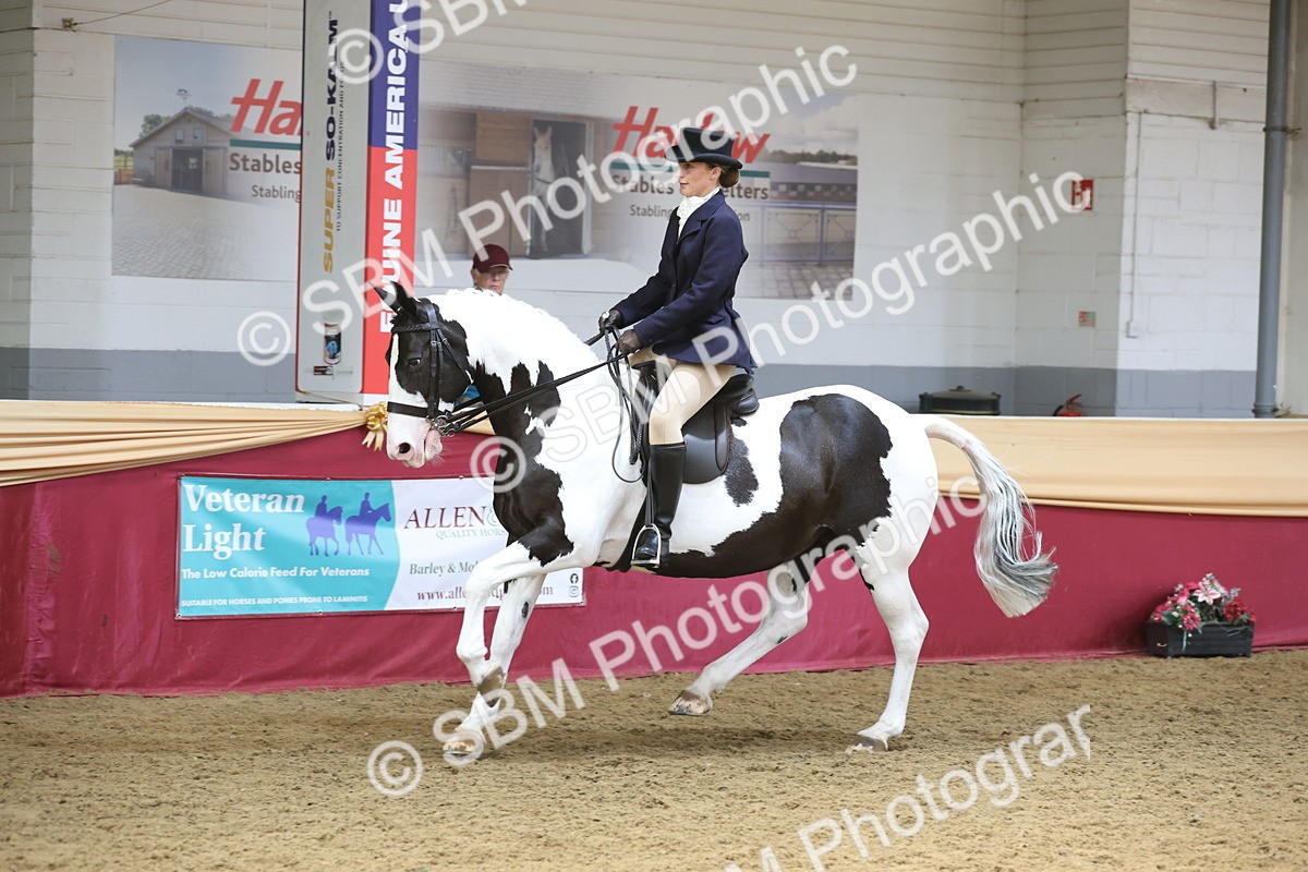 SBM_23762 - class 906 - Supreme Final - Ridden Pre Vet
