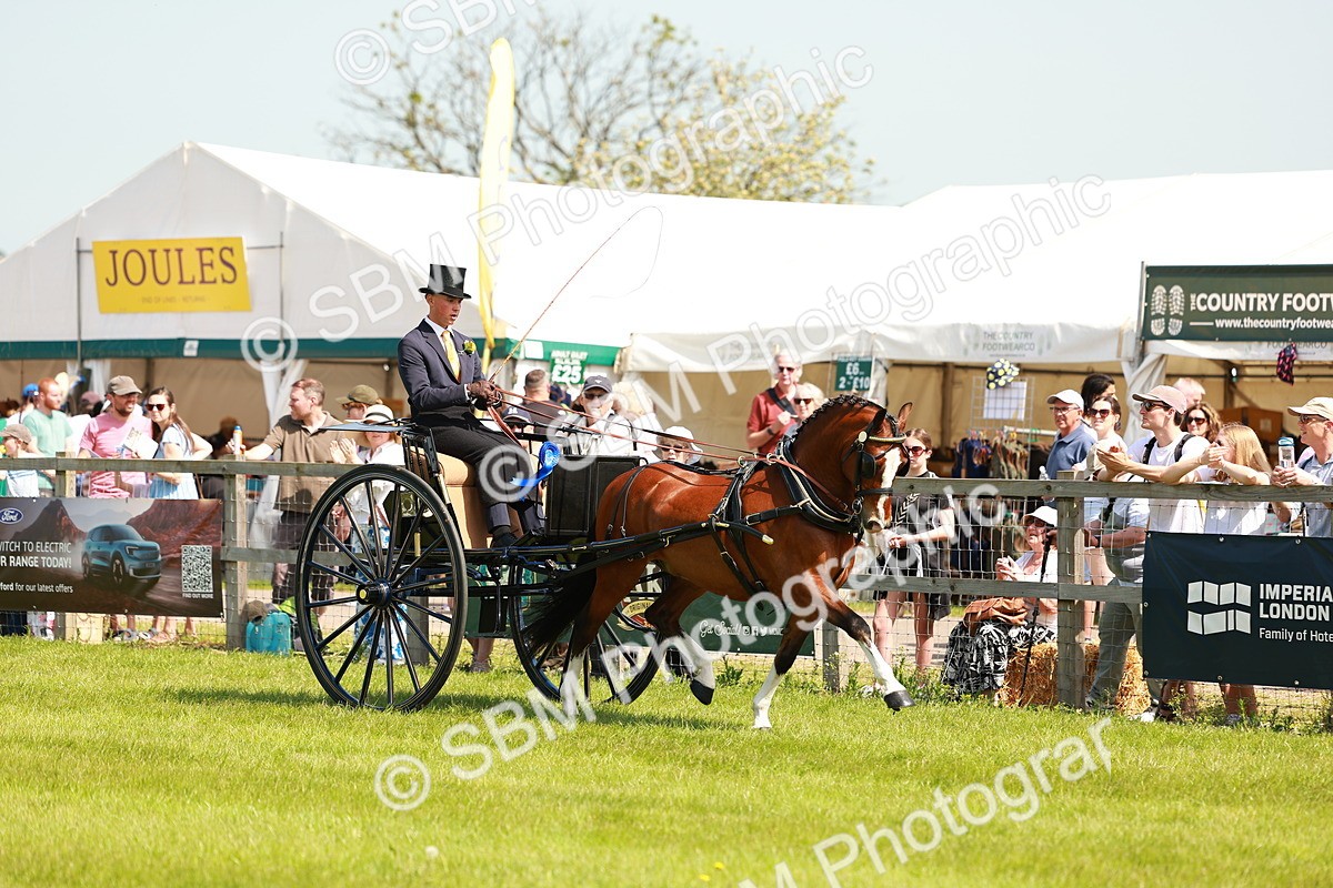 SBM_02925 - Class 2-4 - HOYS Private Driving