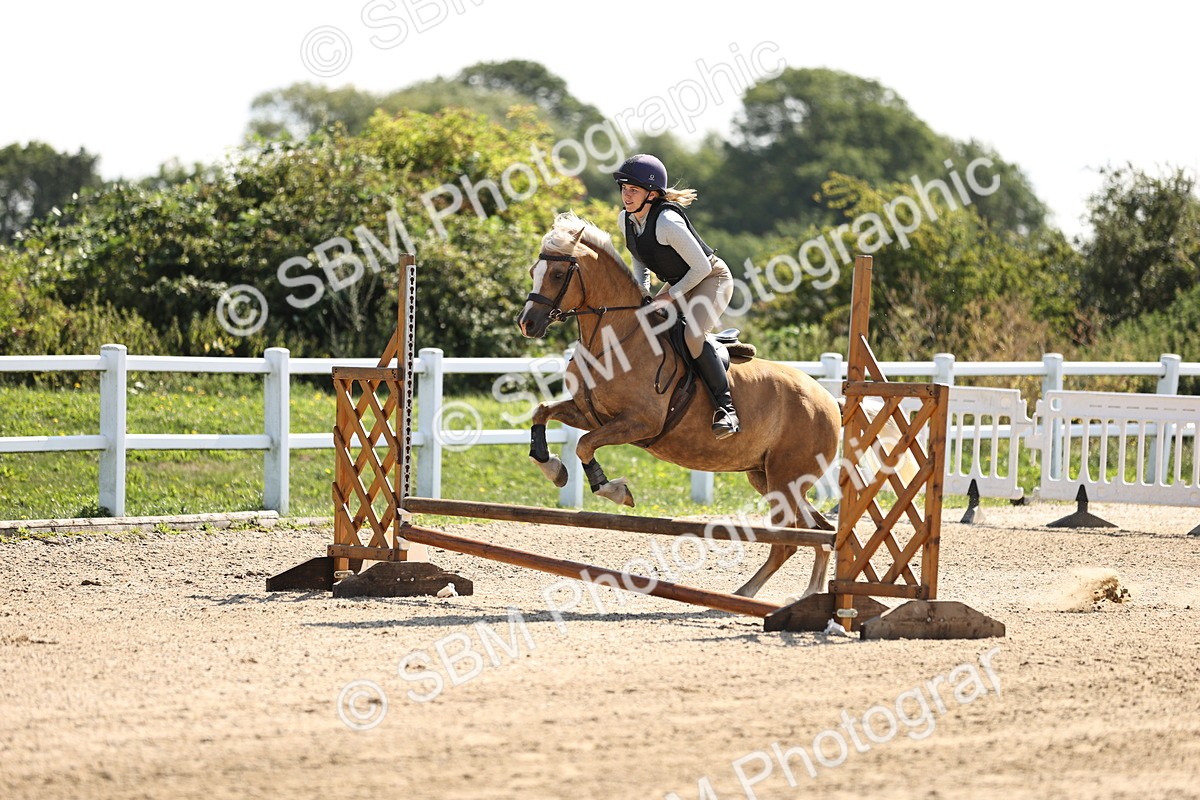 SBM_001227 - AE - 50cm
