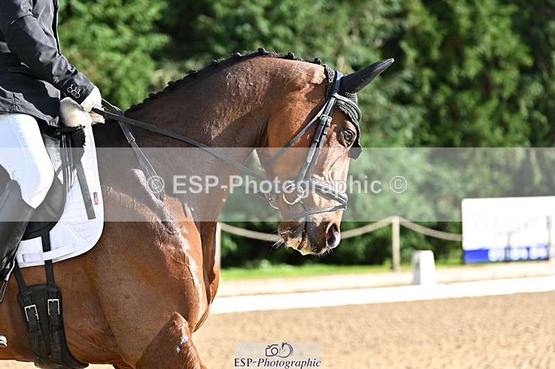 241023-150149-00660 - 006-Mark.Ford-ALVESCOT.FIVE.STAR