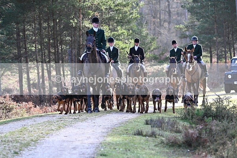 WJ7_7647 - Line 3 (no line 4 or 5)