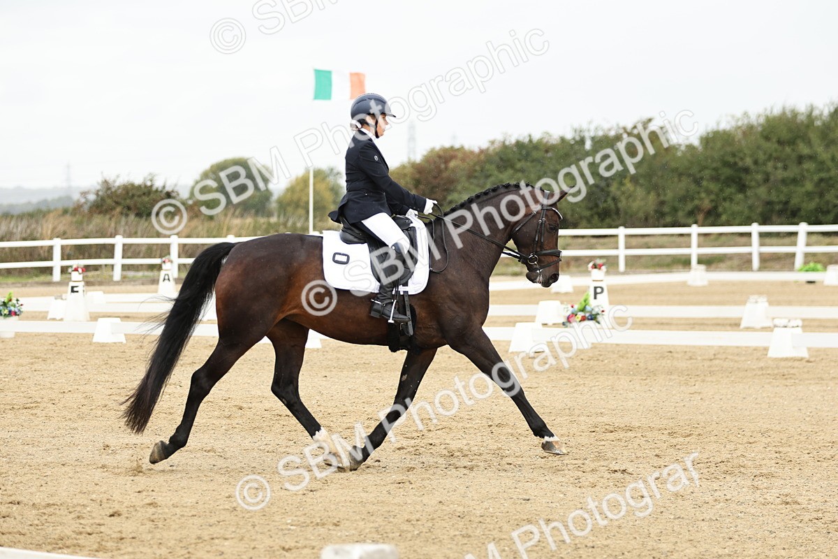 SBM_006966 - Class 21 - Medium 5 Bronze - 10.04-10.52