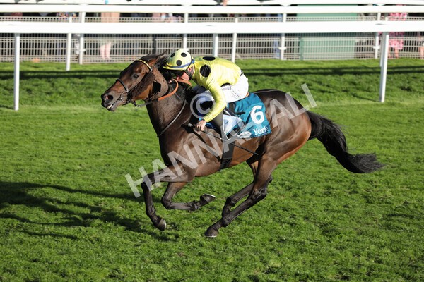 yr08102022r6-31 - Race 6 4.25pm The Watch Racing Online Free With Coral Handicap Stakes