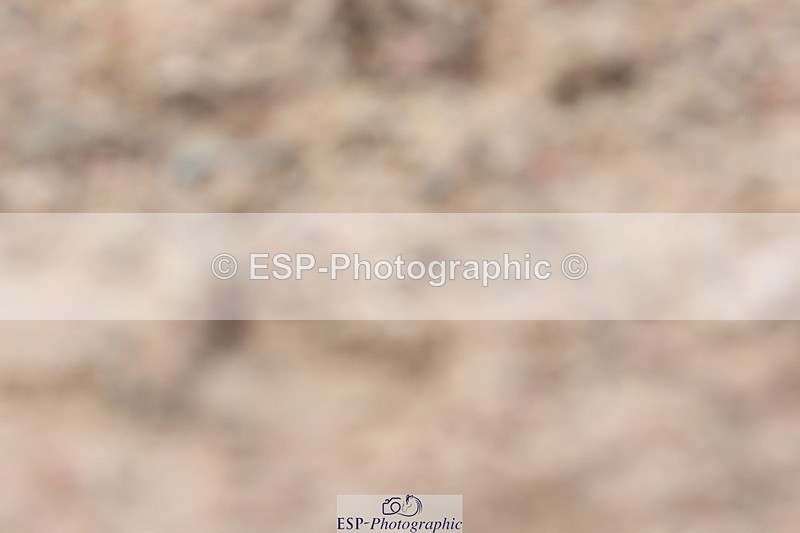 240706A-144625-03741 - Cls 8A Snr RT Prelim 12, 14.40 to End