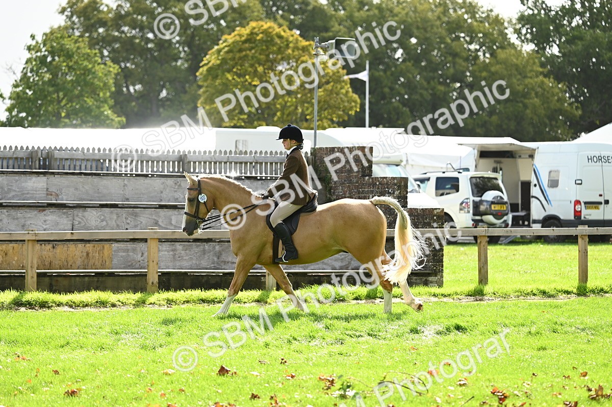 SBM_01712 - S2 - TSR Ridden Horse Showing