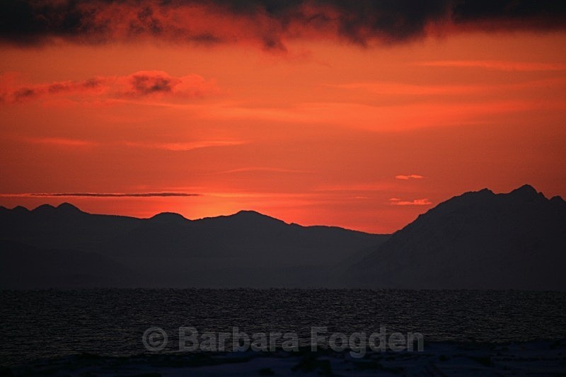 Isfjord 3335 - Colours of Svalbard