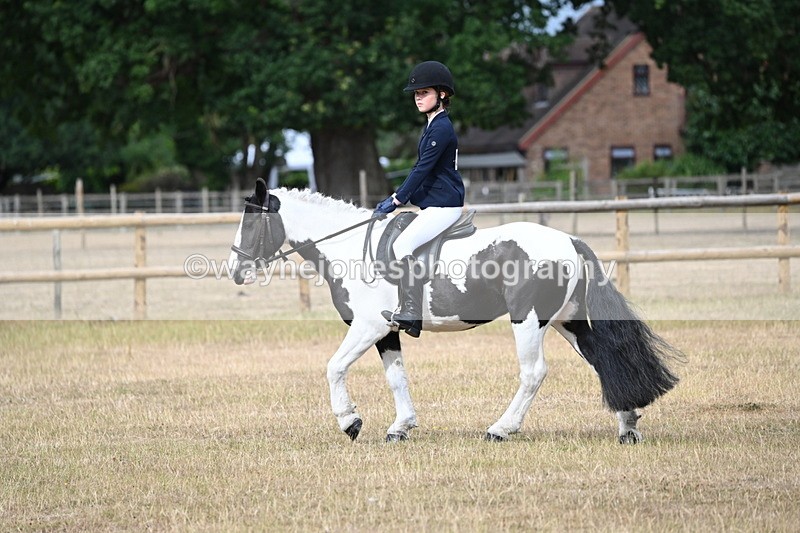 WJ6_7342 - Class 9 Tack and Turnout