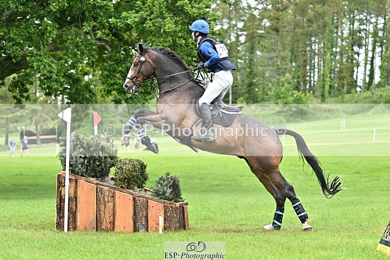 240525-155929-17393_235-GREENHALL_JAY-Henry_Hobby - 078-679-7077